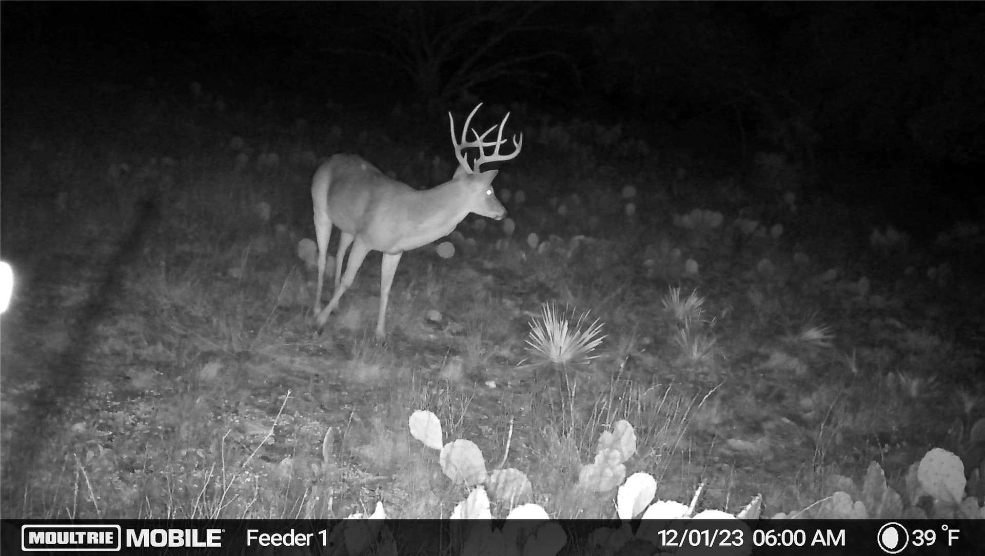 10.74 acres in McCulloch County - photo 14