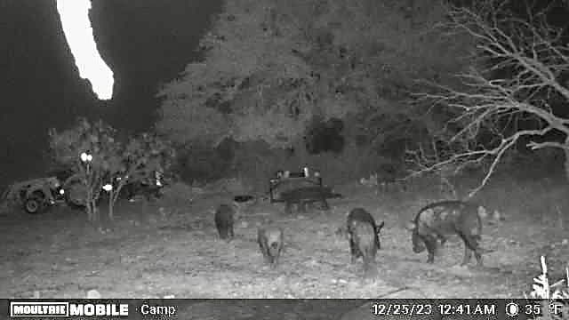 10.74 acres in McCulloch County - photo 23