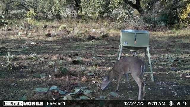 10.74 acres in McCulloch County - photo 24