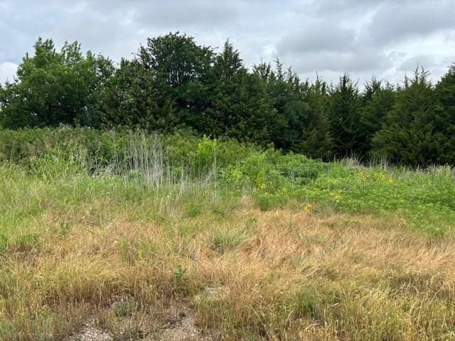 0.14 acres in Dallas County featured view