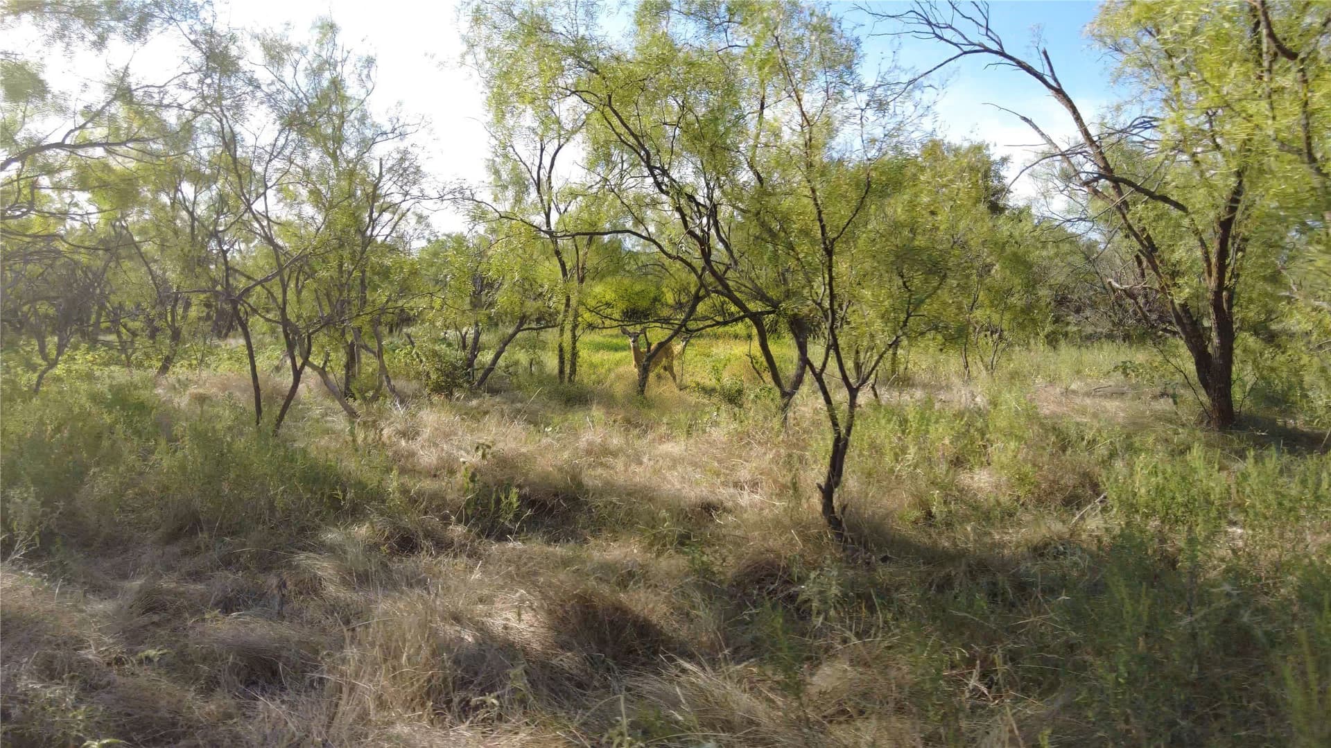 1,107 acres in Stephens County - photo 6