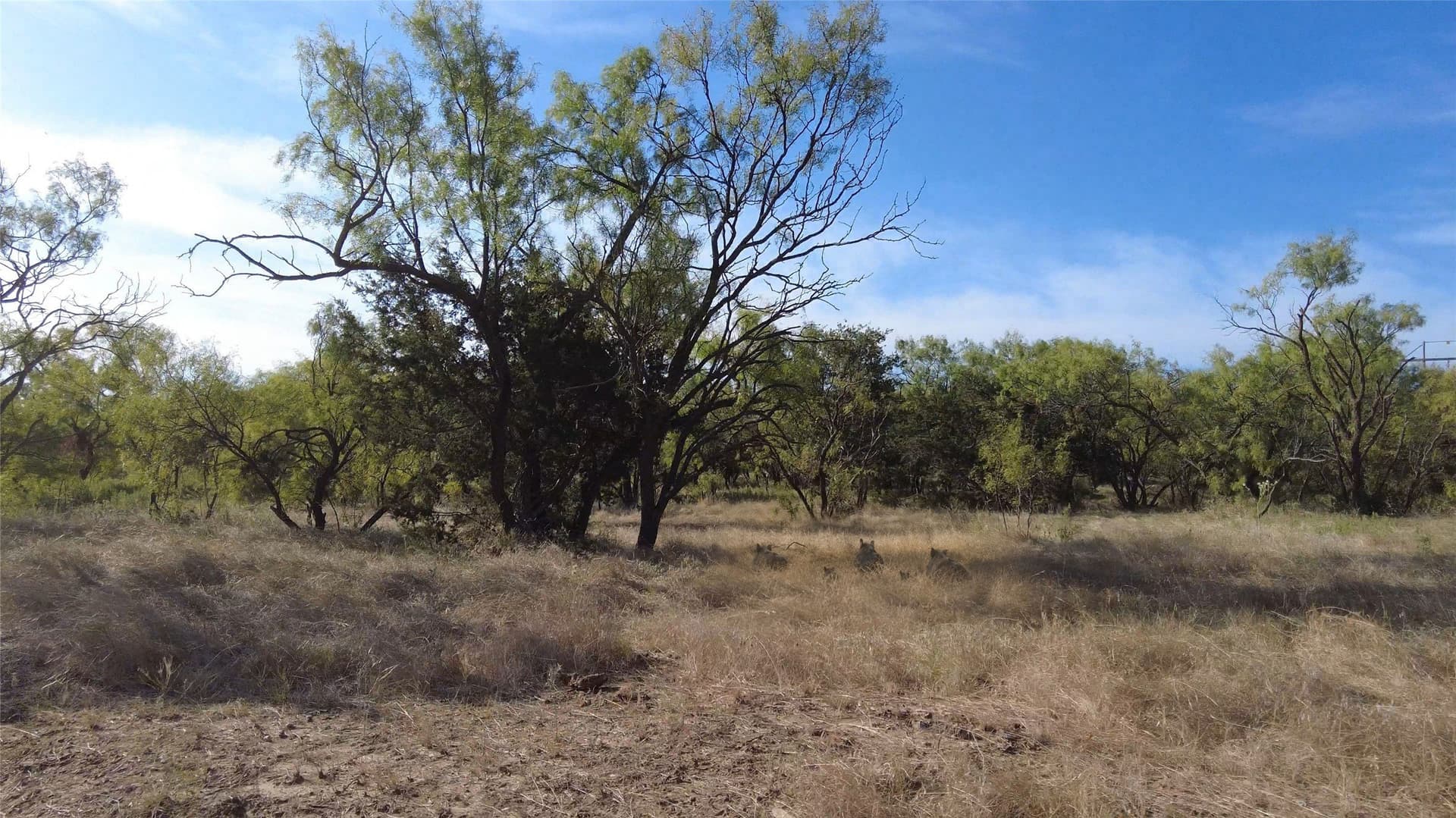 1,107 acres in Stephens County - photo 7