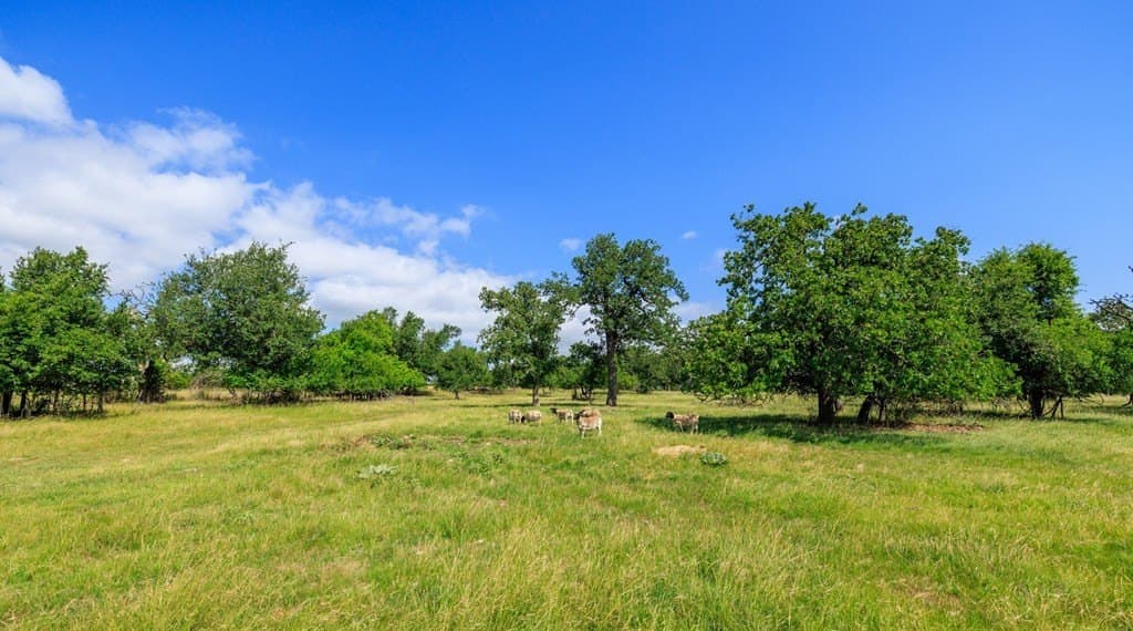 10.63 acres in Gillespie County - photo 24
