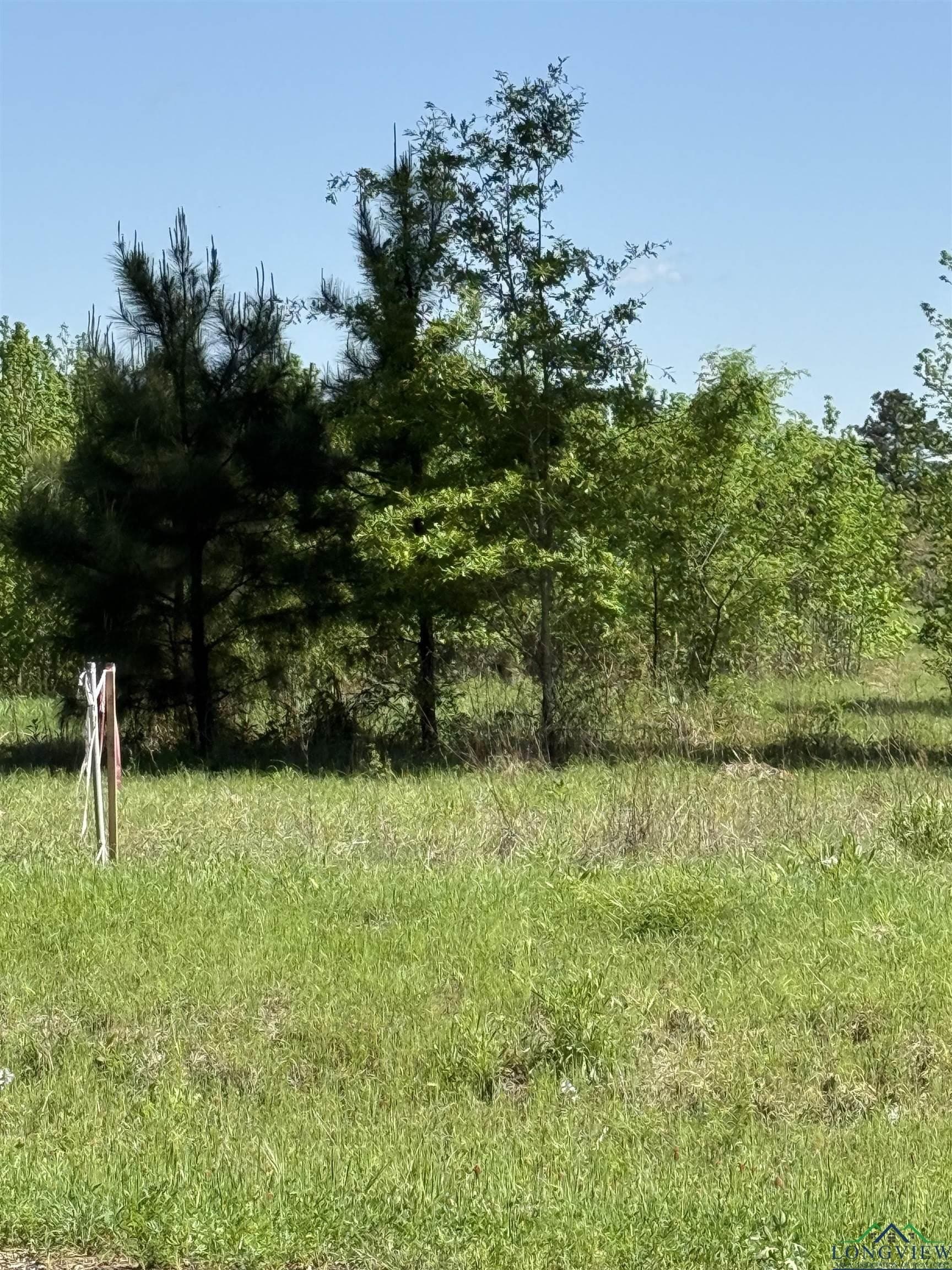 4 acres in Rusk County gallery image 2