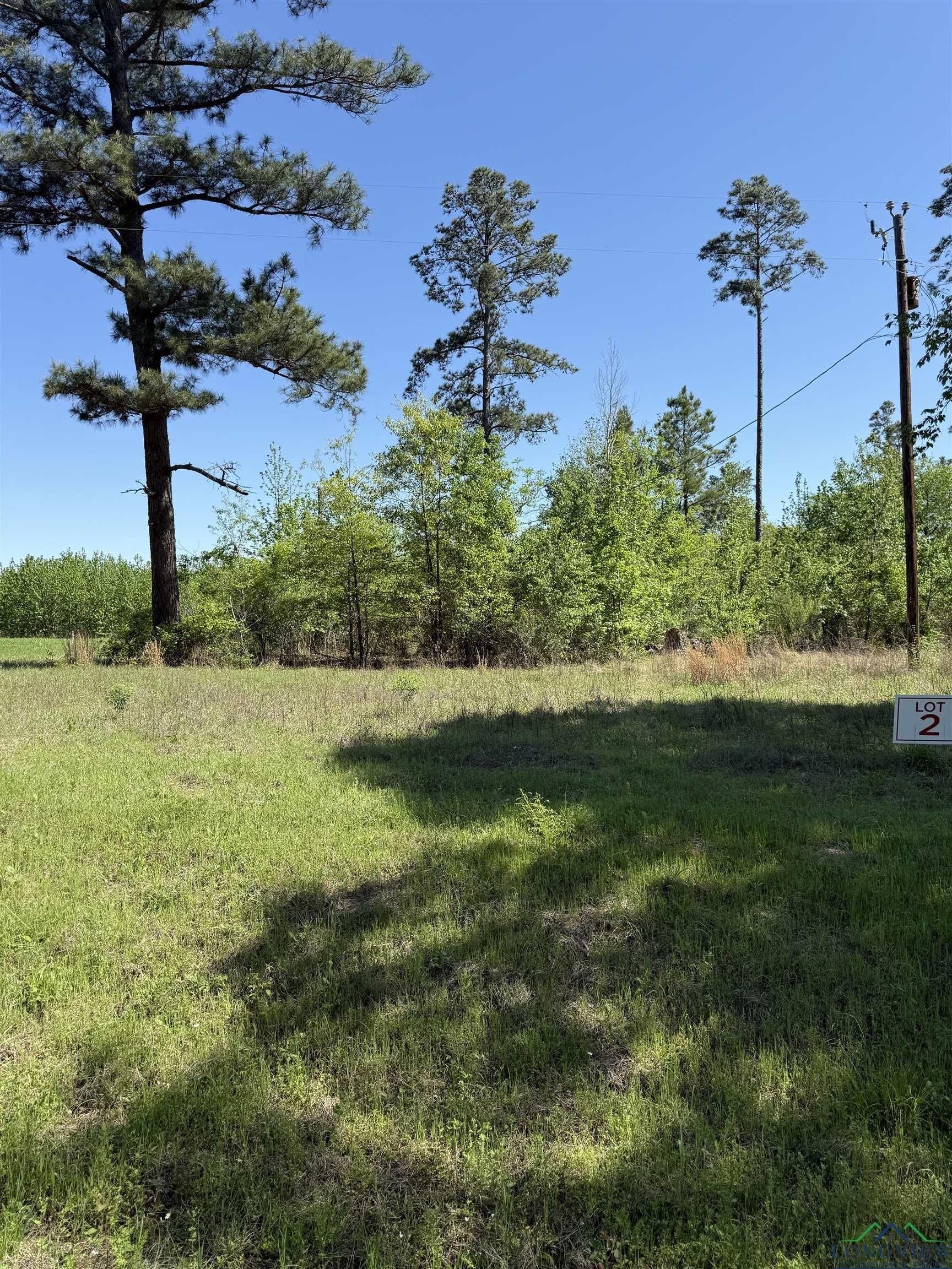 4 acres in Rusk County gallery image 3