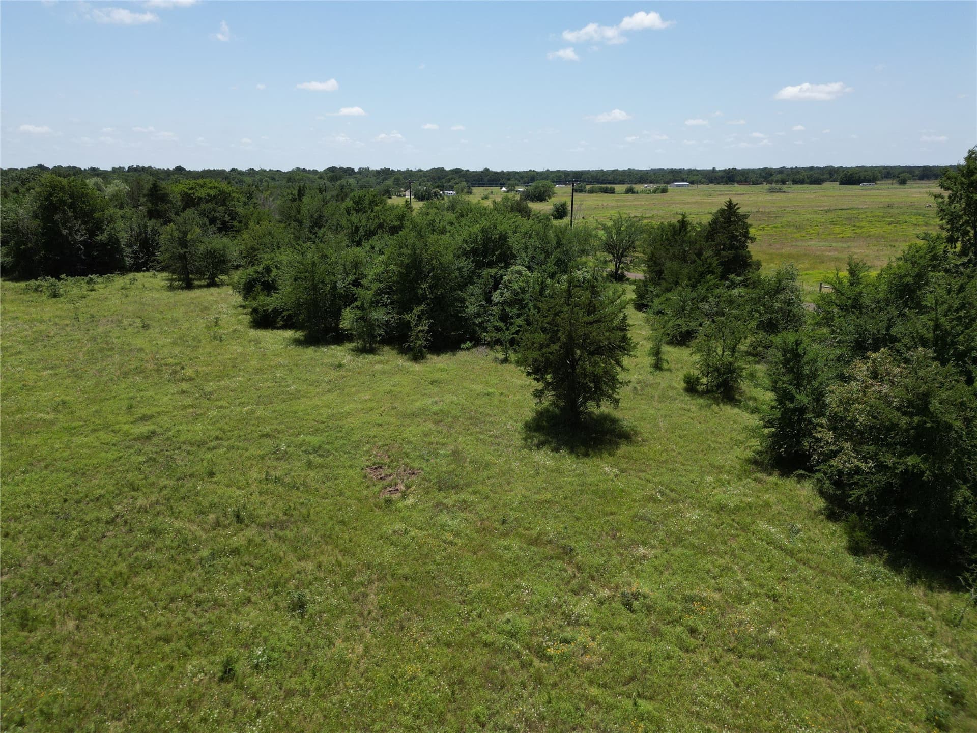 3 acres in Hopkins County - photo 3