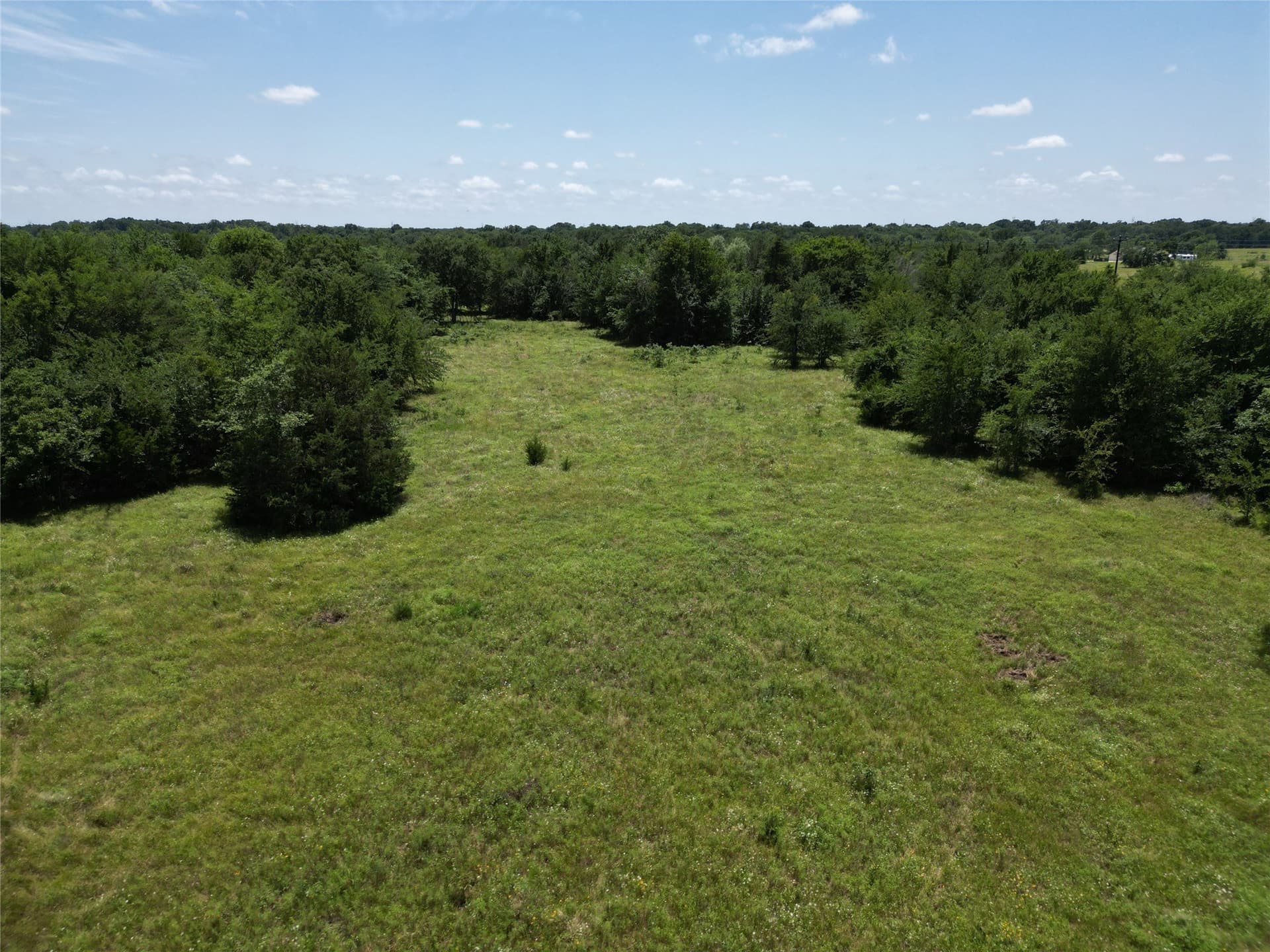 3 acres in Hopkins County - photo 4