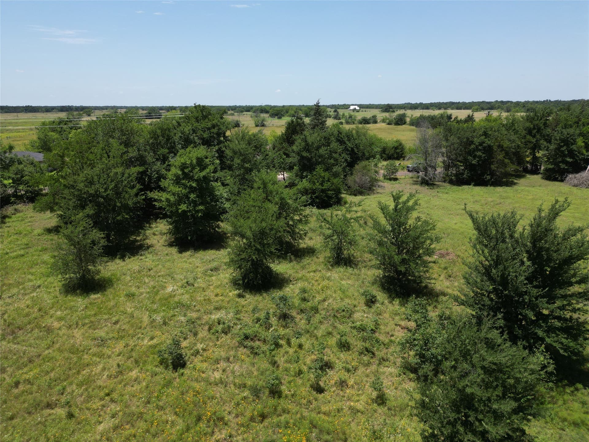 3 acres in Hopkins County - photo 2