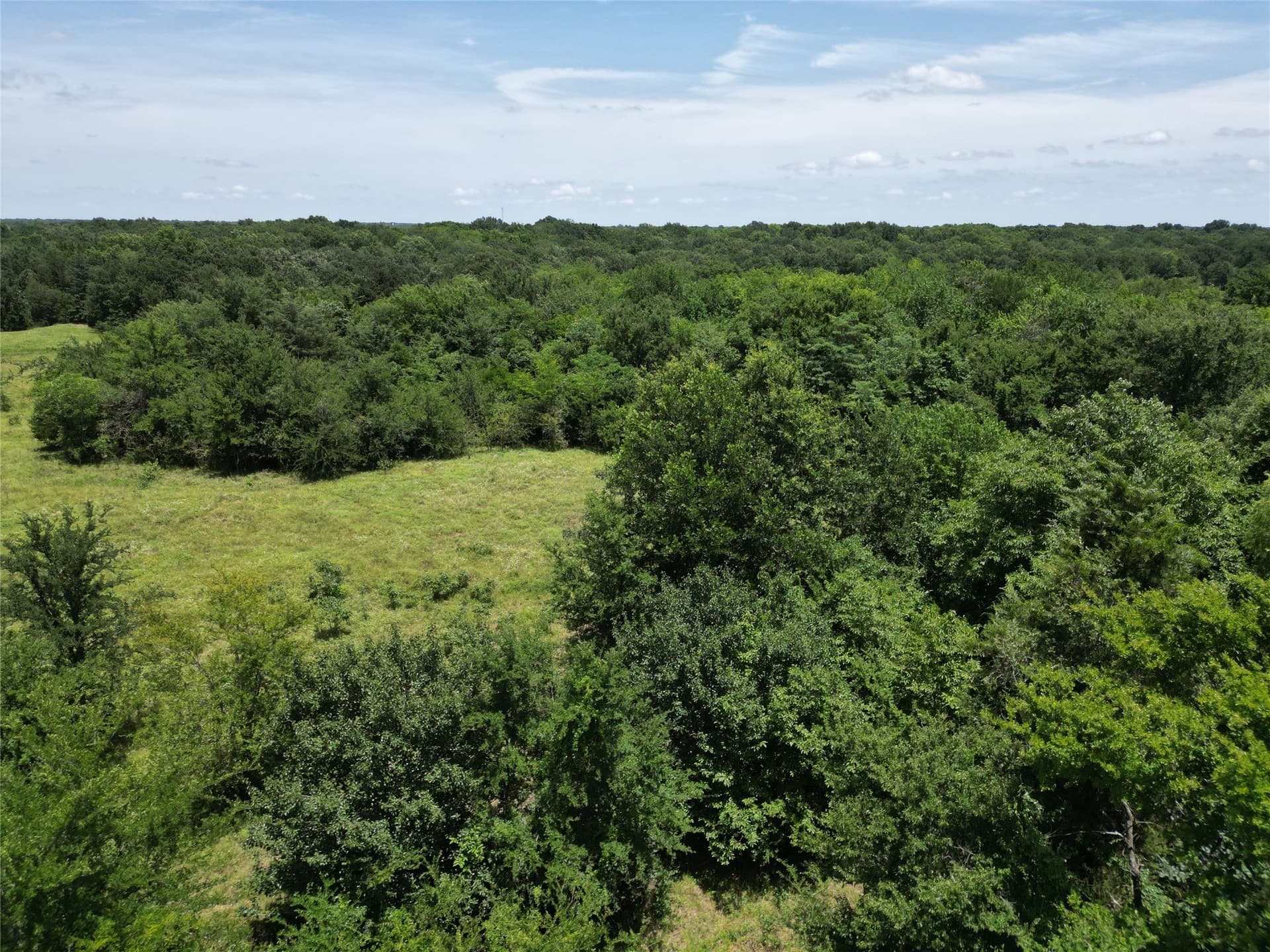 3 acres in Hopkins County - photo 6