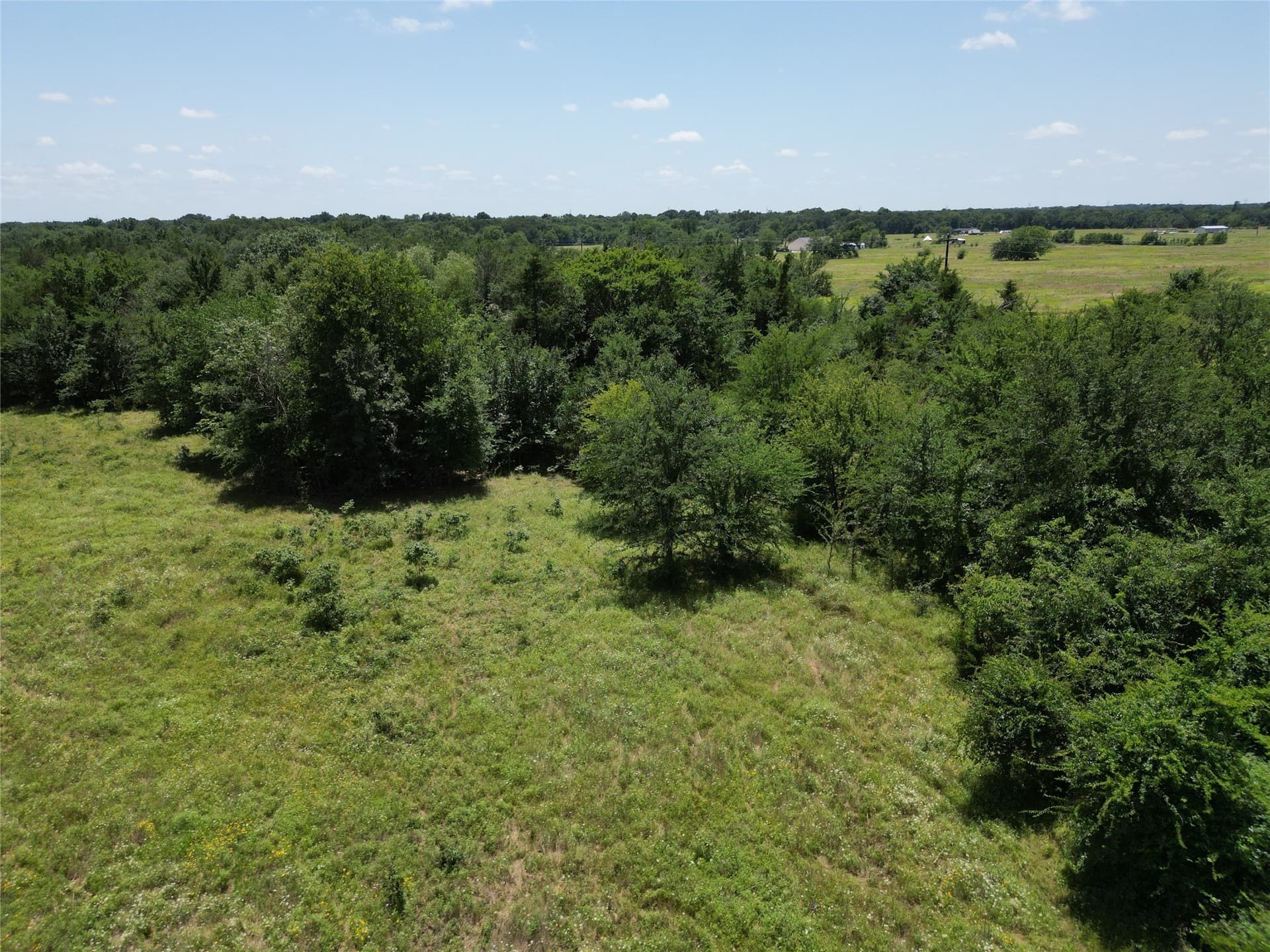 3 acres in Hopkins County - photo 5
