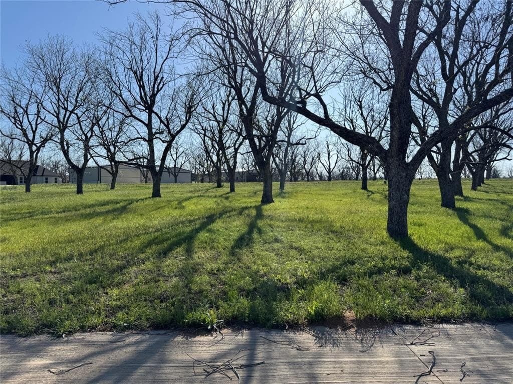 0.98 acres in Hood County featured view