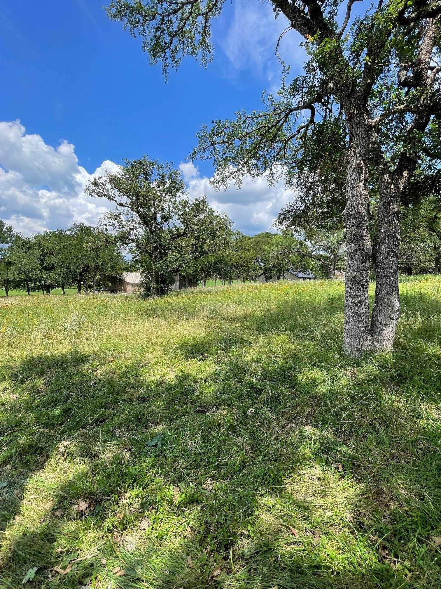 0.23 acres in Llano County - photo 5