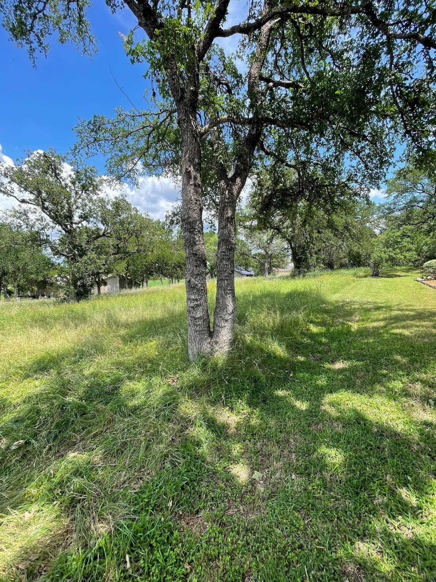 0.23 acres in Llano County - photo 4