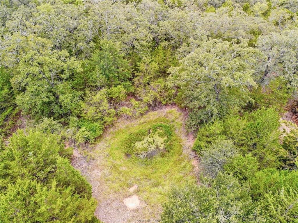 6 acres in Milam County featured view