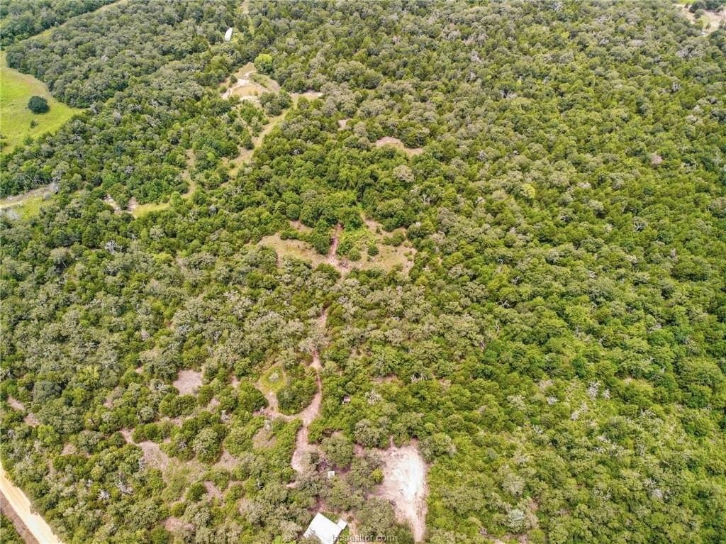 6 acres in Milam County gallery image 3