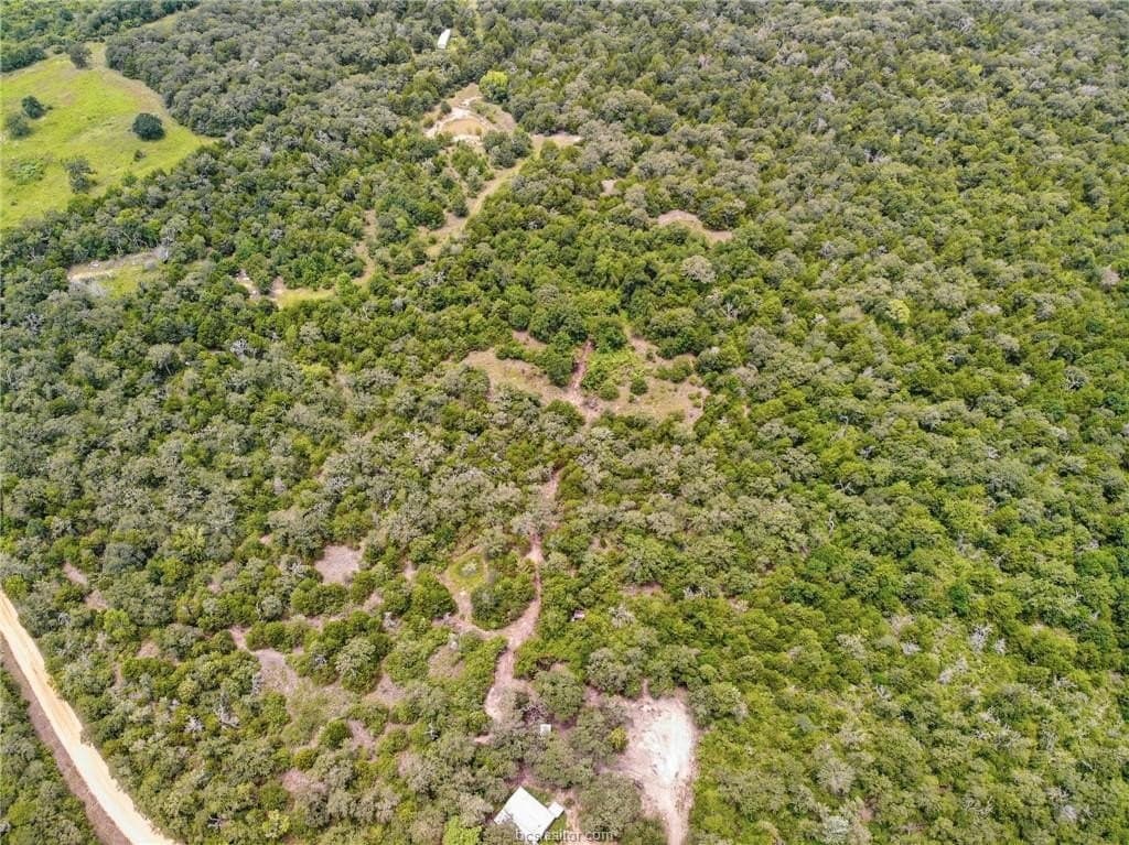 6 acres in Milam County gallery image 2