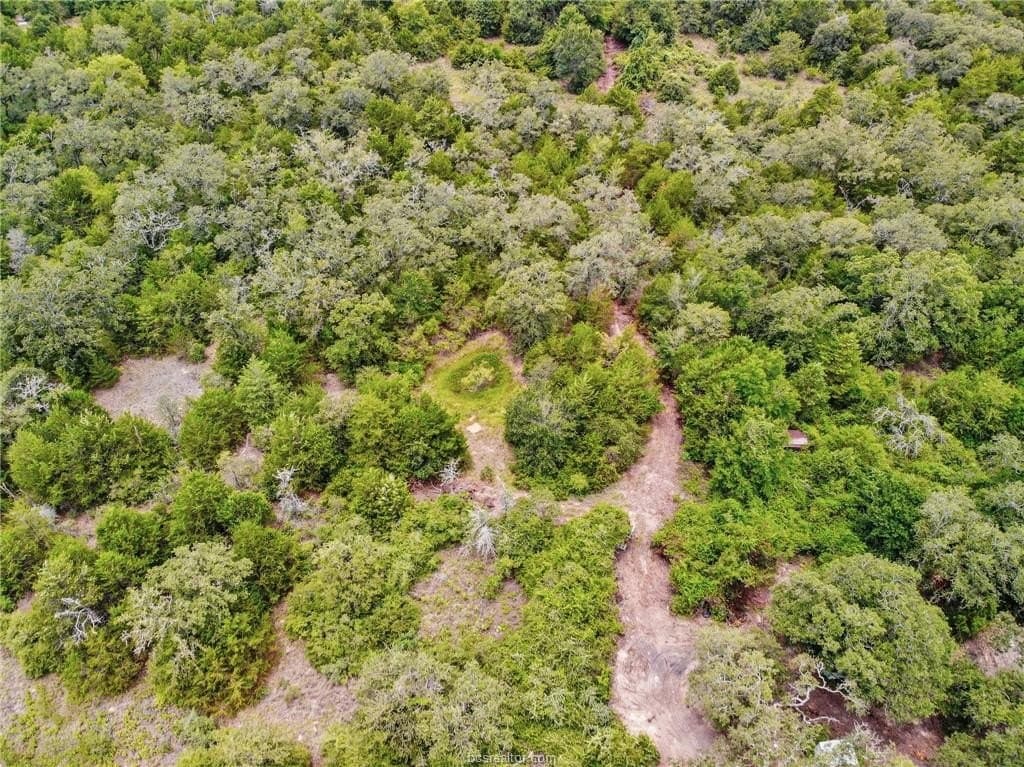 6 acres in Milam County gallery image 4