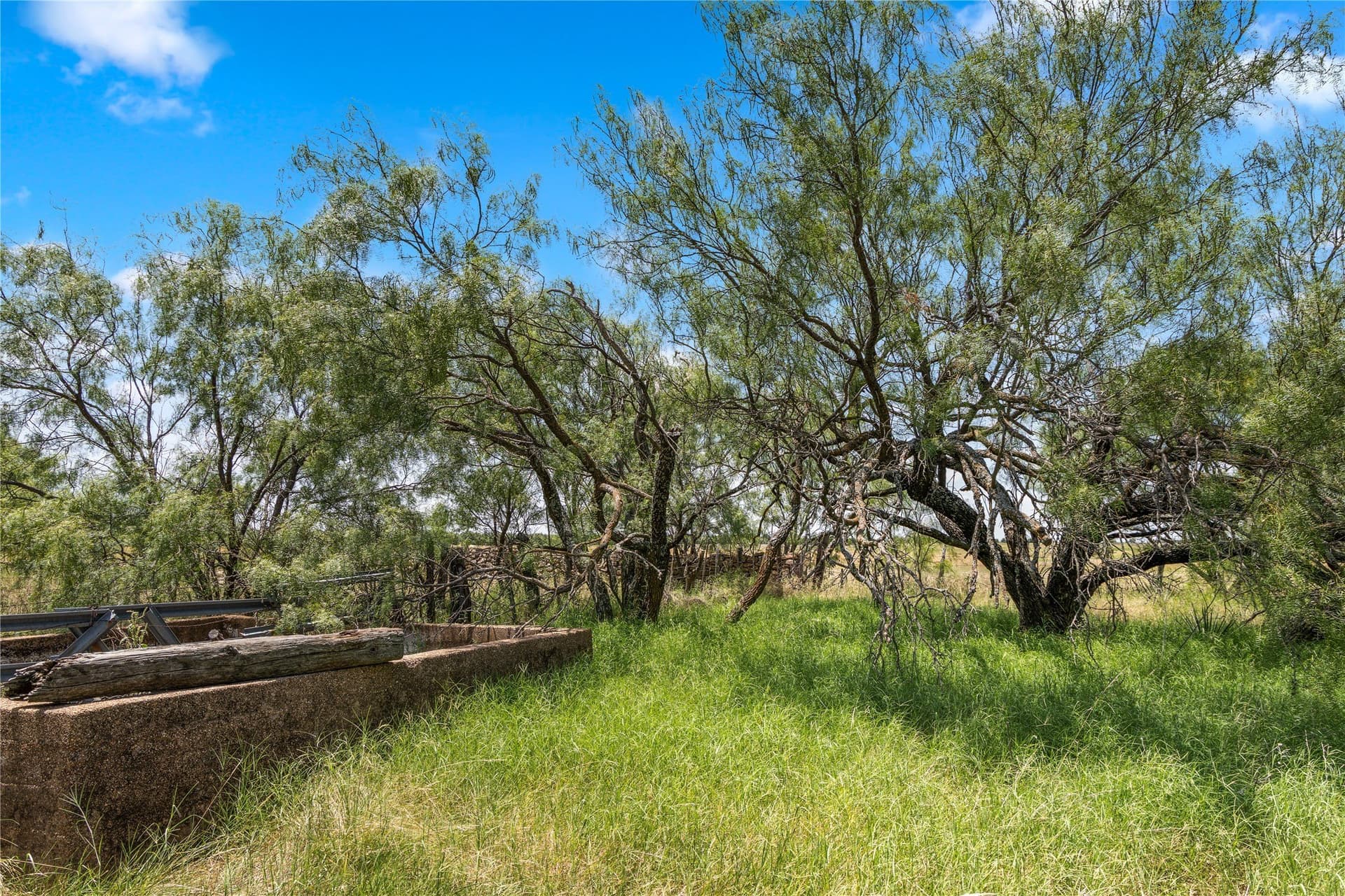 200 acres in Callahan County - photo 16