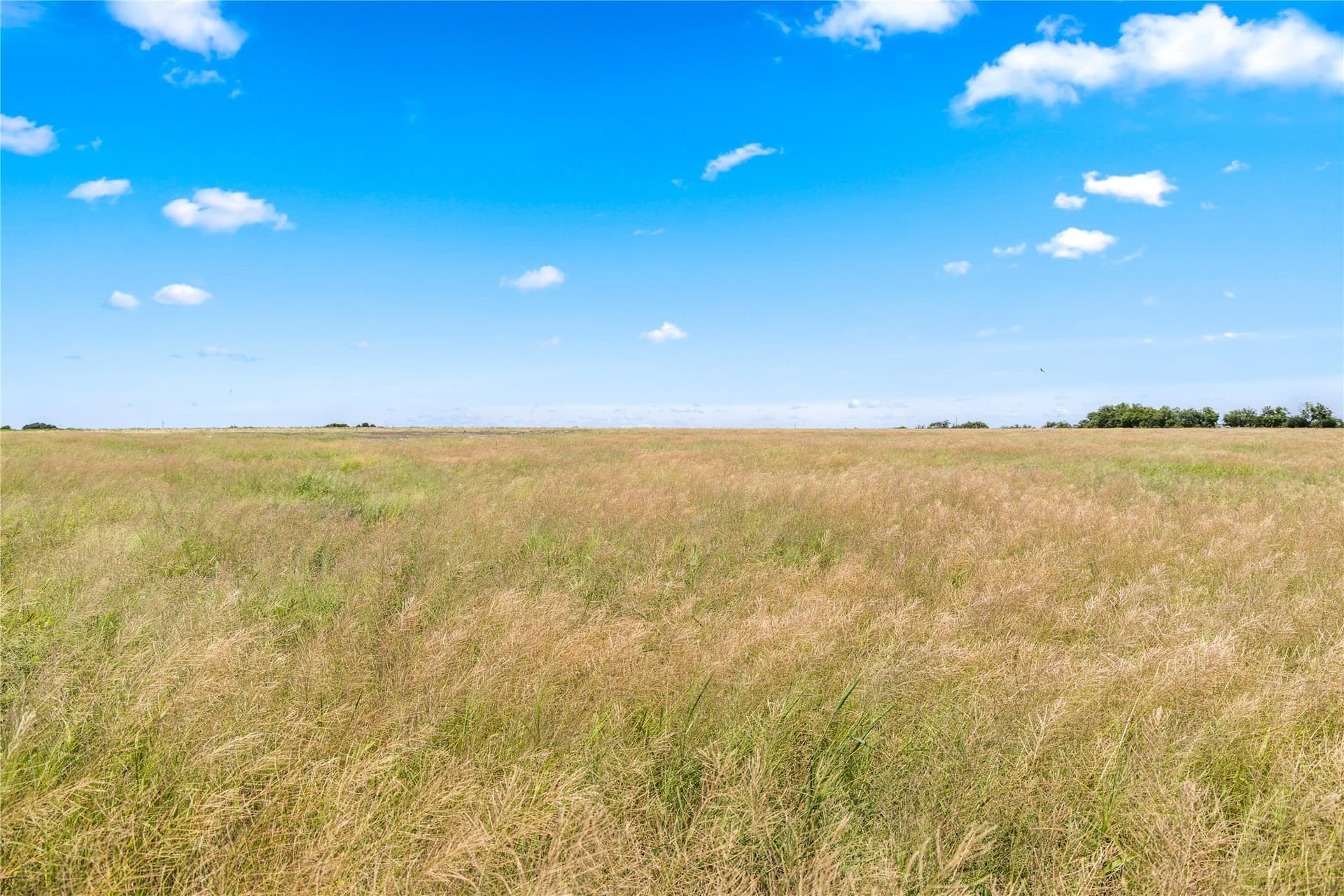 200 acres in Callahan County - photo 24