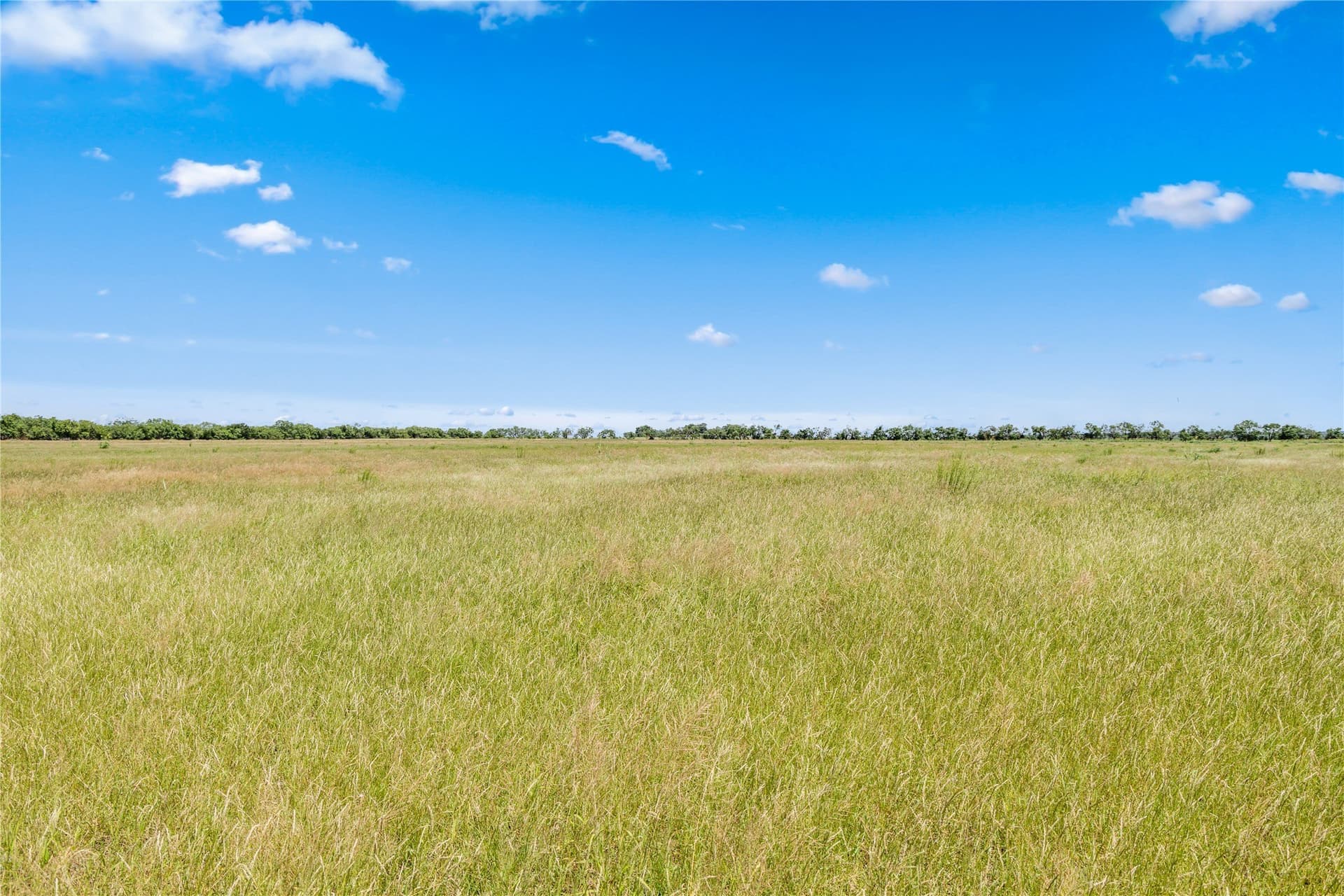 200 acres in Callahan County - photo 11
