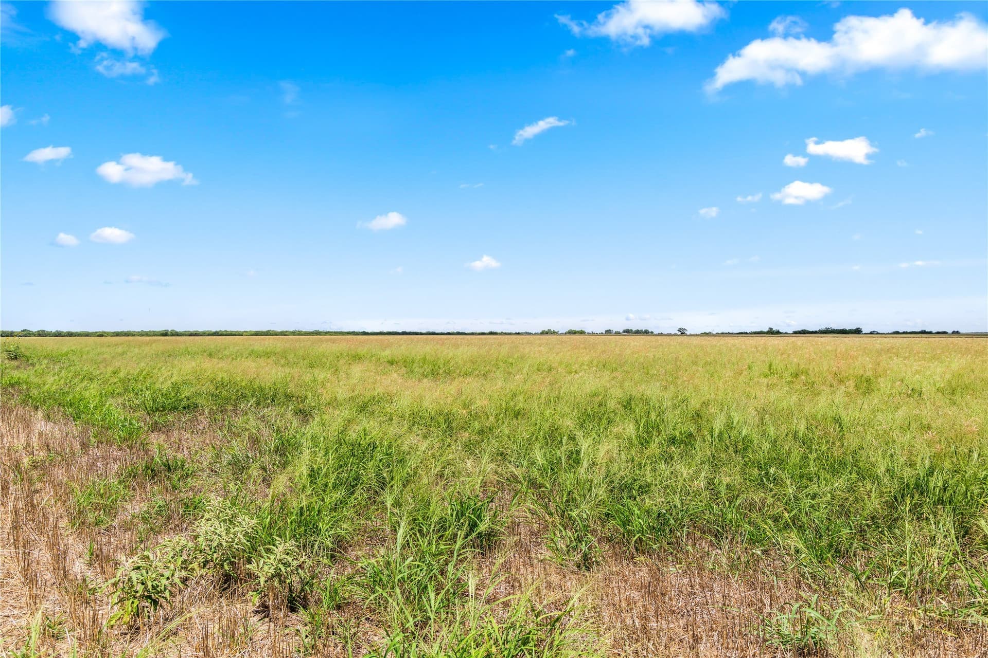 200 acres in Callahan County - photo 13