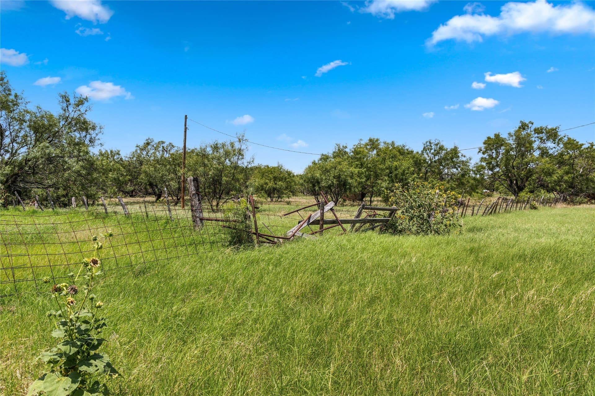 200 acres in Callahan County - photo 20