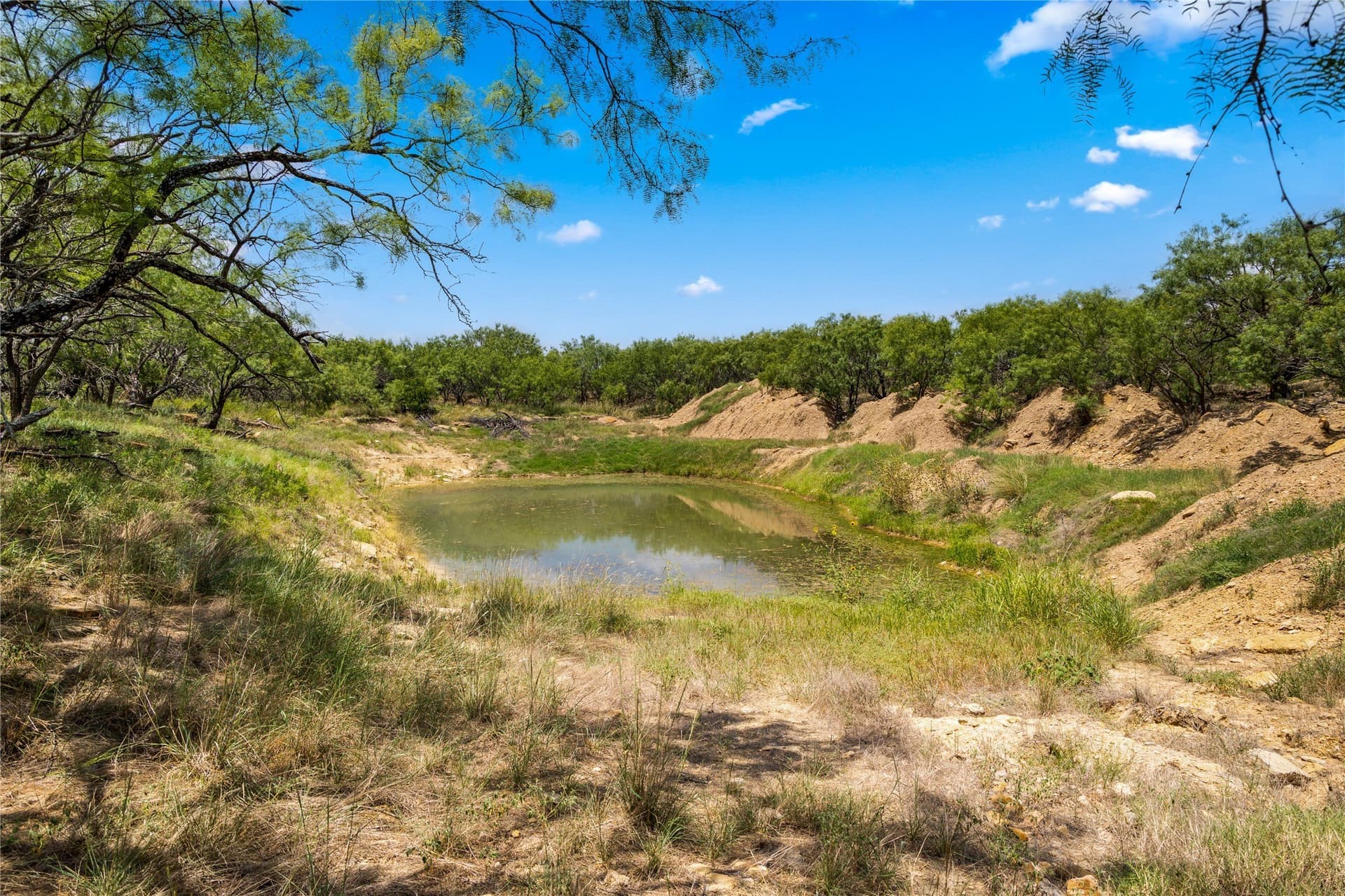 200 acres in Callahan County - photo 22