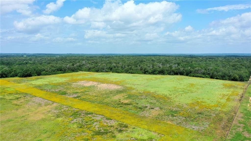 10 acres in Burleson County - photo 29