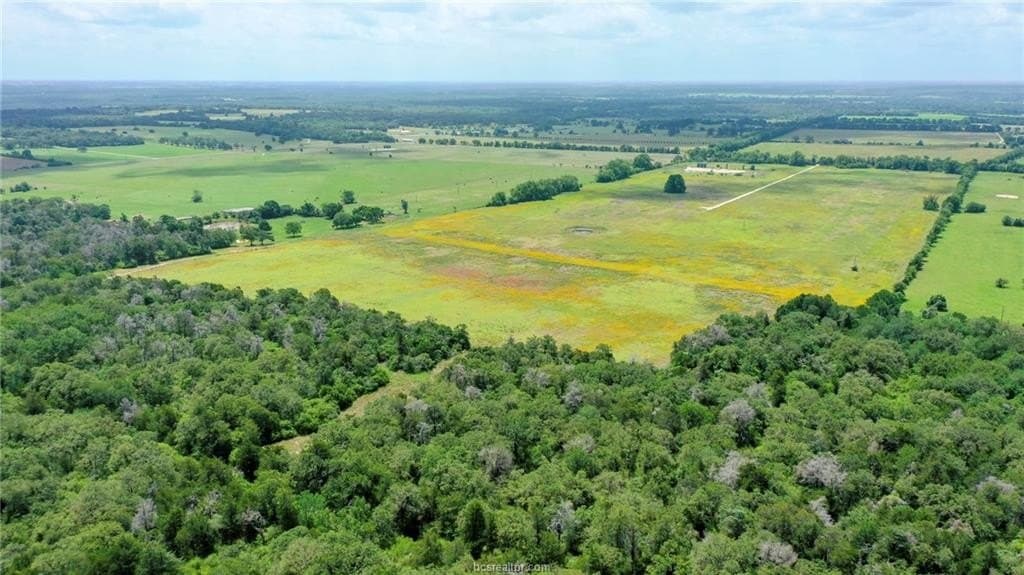 10 acres in Burleson County - photo 36