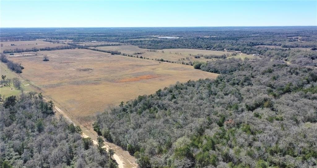 10 acres in Burleson County gallery image 3