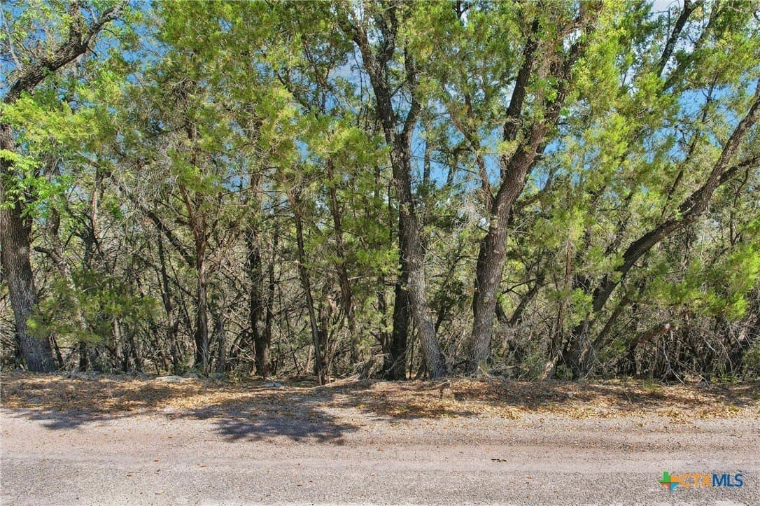 0.24 acres in Travis County gallery image 2