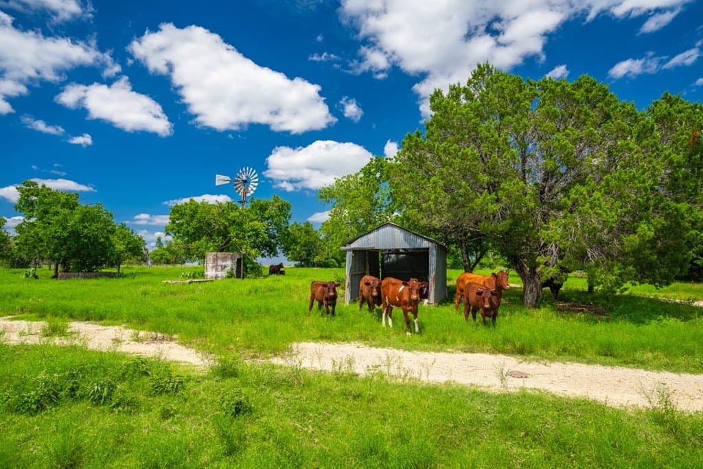 161 acres in Burnet County gallery image 4