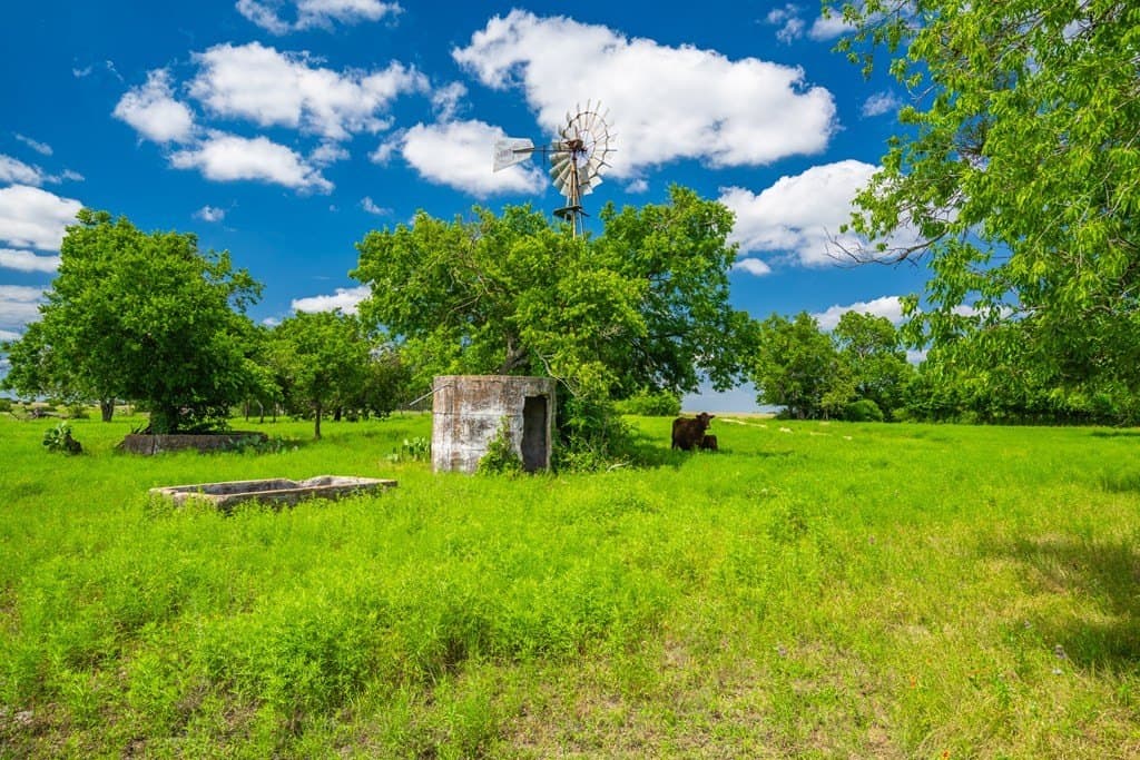 161 acres in Burnet County - photo 15
