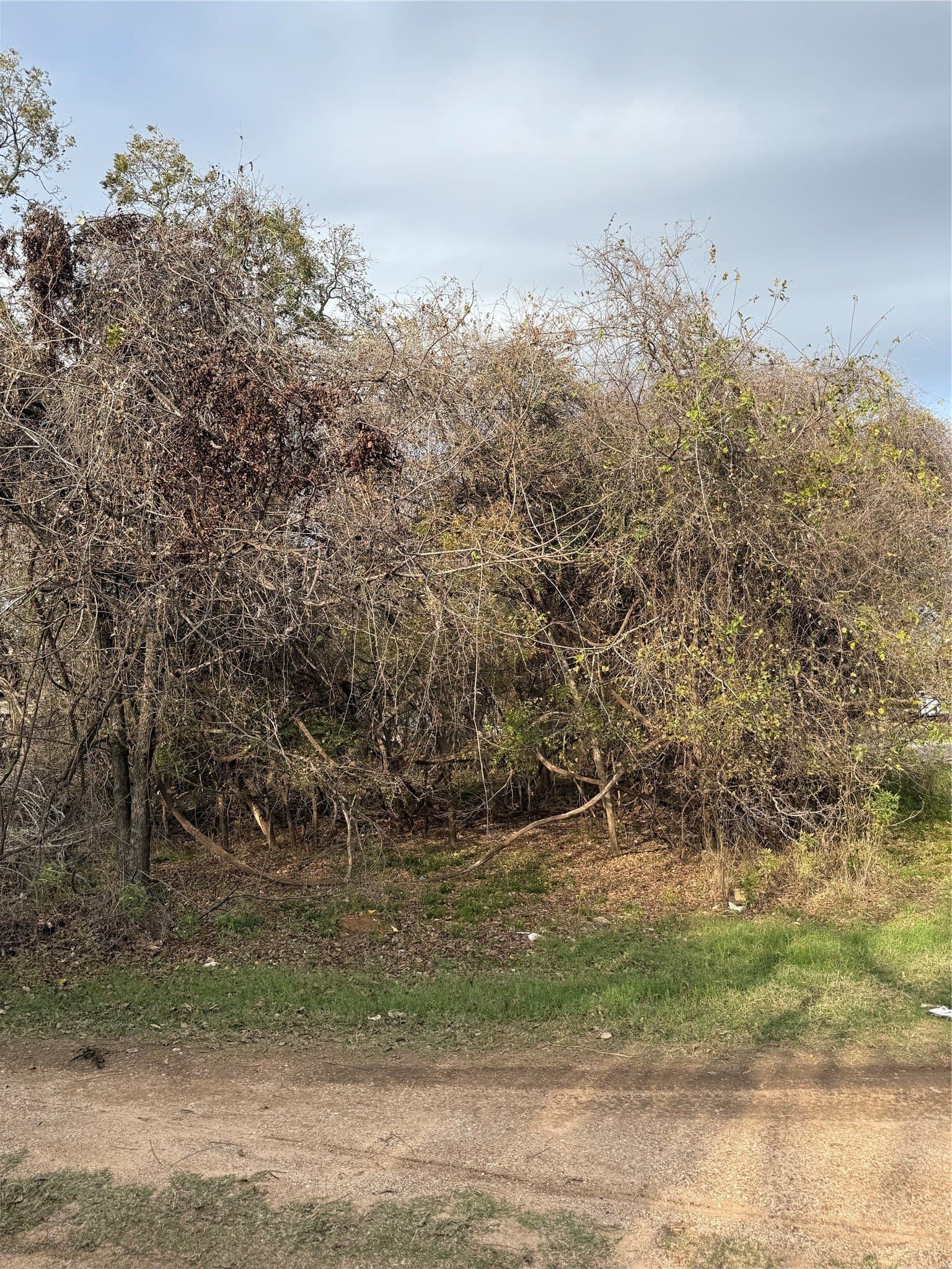 0.17 acres in Parker County - photo 6