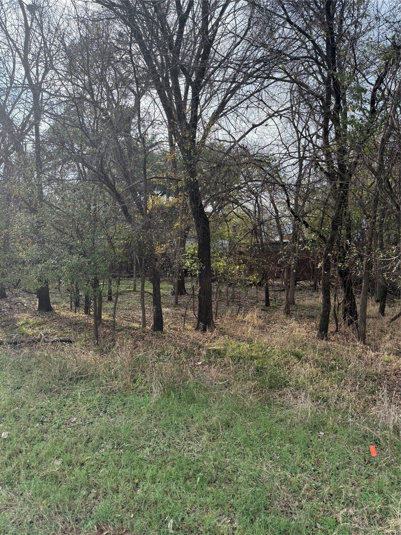 0.17 acres in Parker County - photo 4