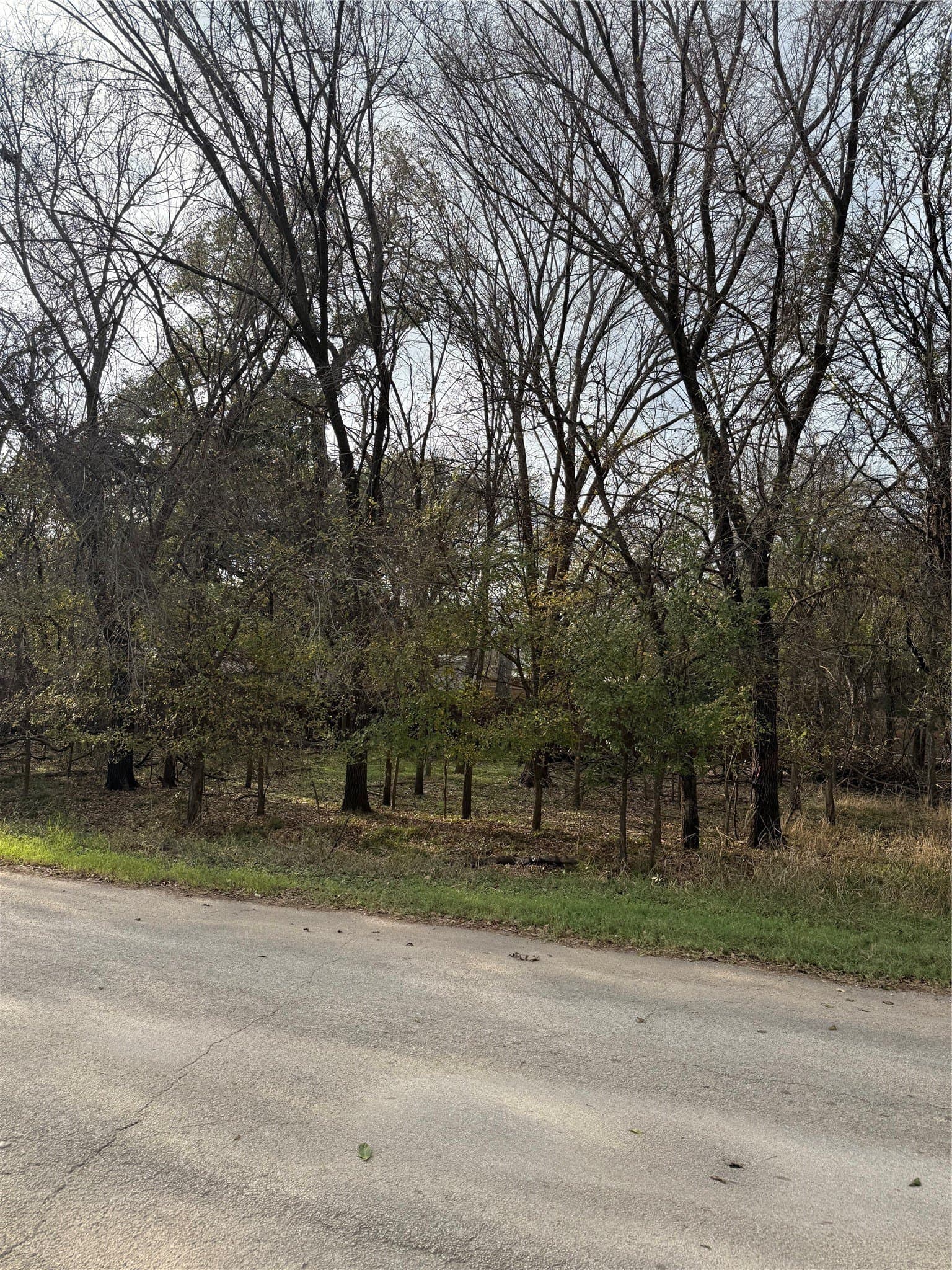 0.17 acres in Parker County - photo 2
