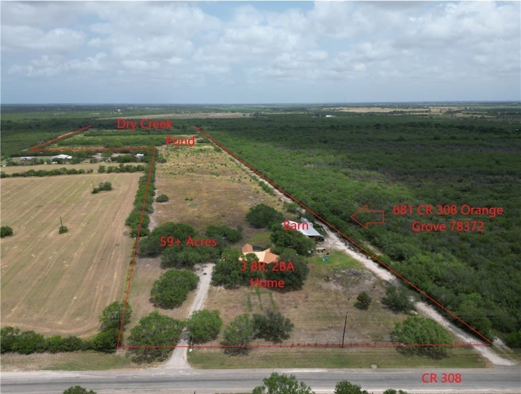 56 acres in Jim Wells County gallery image 3