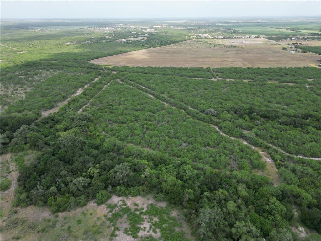 56 acres in Jim Wells County gallery image 4