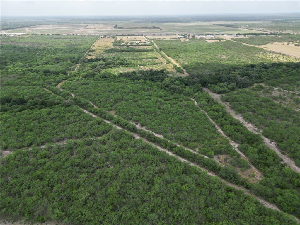 56 acres in Jim Wells County featured view