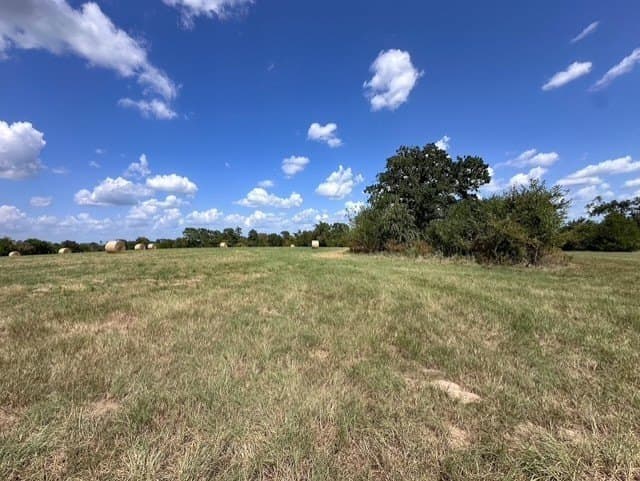 28.5 acres in Anderson County - photo 7
