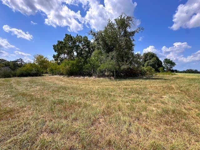 28.5 acres in Anderson County - photo 10