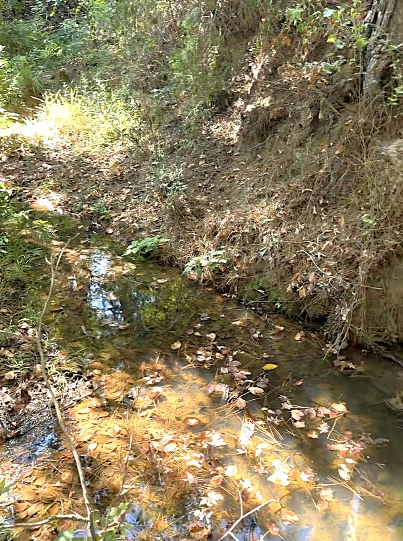 28.5 acres in Anderson County - photo 28
