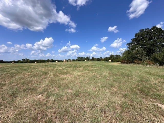28.5 acres in Anderson County - photo 8