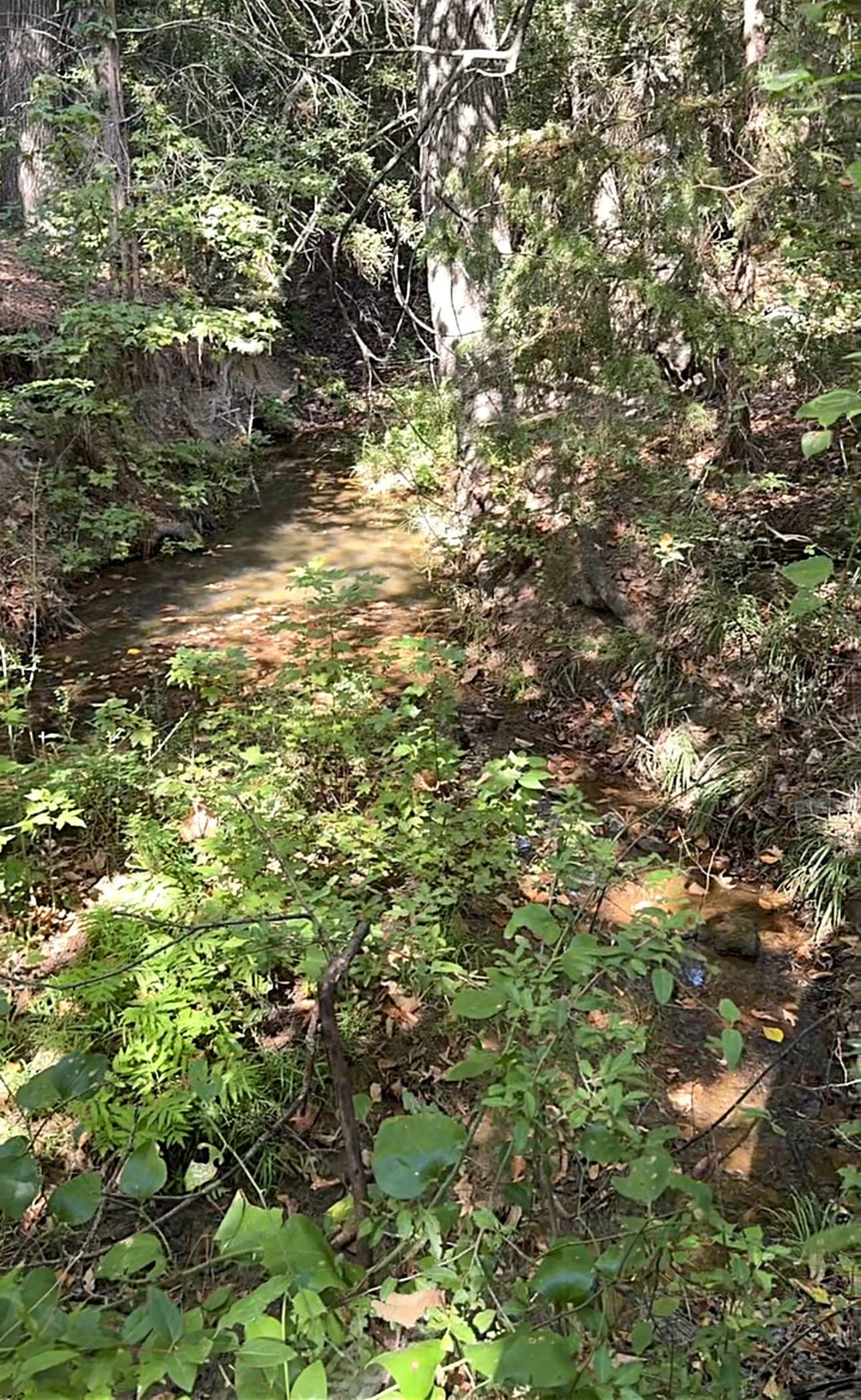 28.5 acres in Anderson County - photo 23