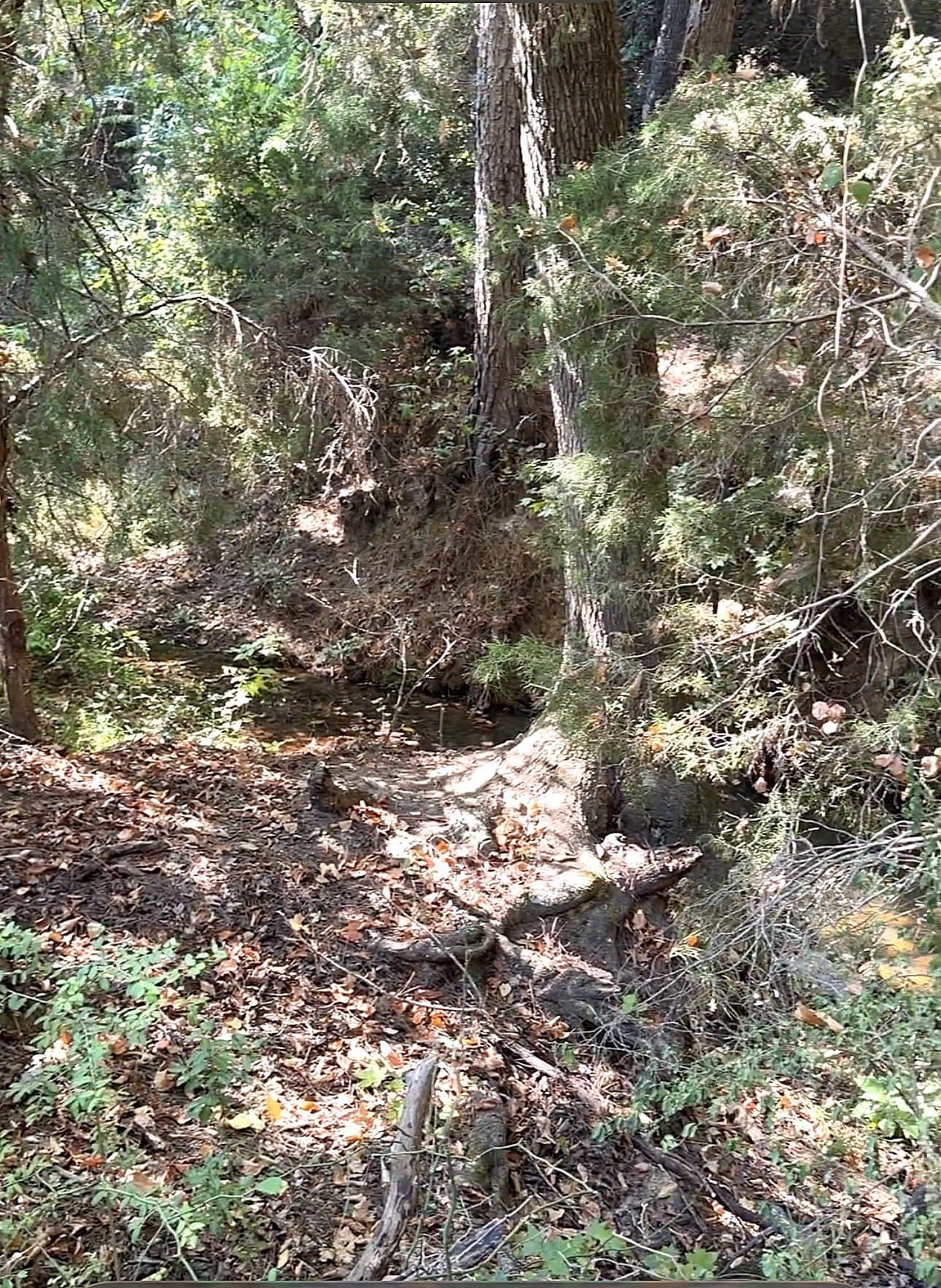 28.5 acres in Anderson County - photo 31