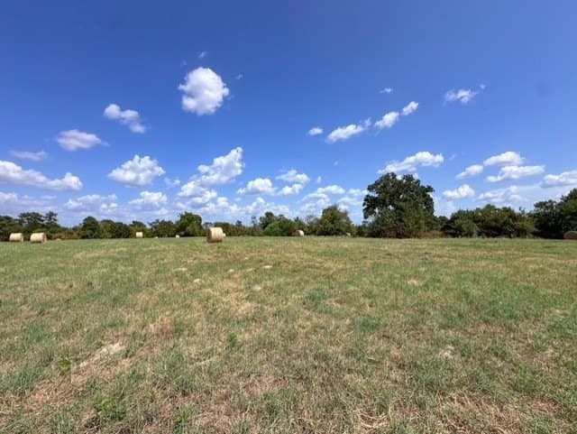 28.5 acres in Anderson County - photo 13