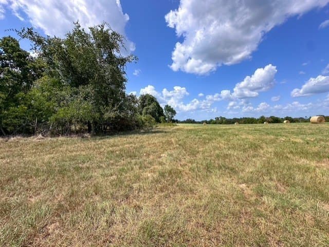 28.5 acres in Anderson County - photo 9