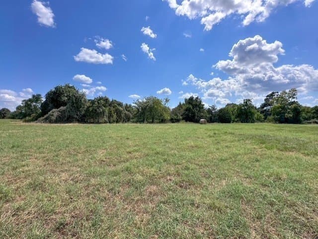 28.5 acres in Anderson County - photo 4