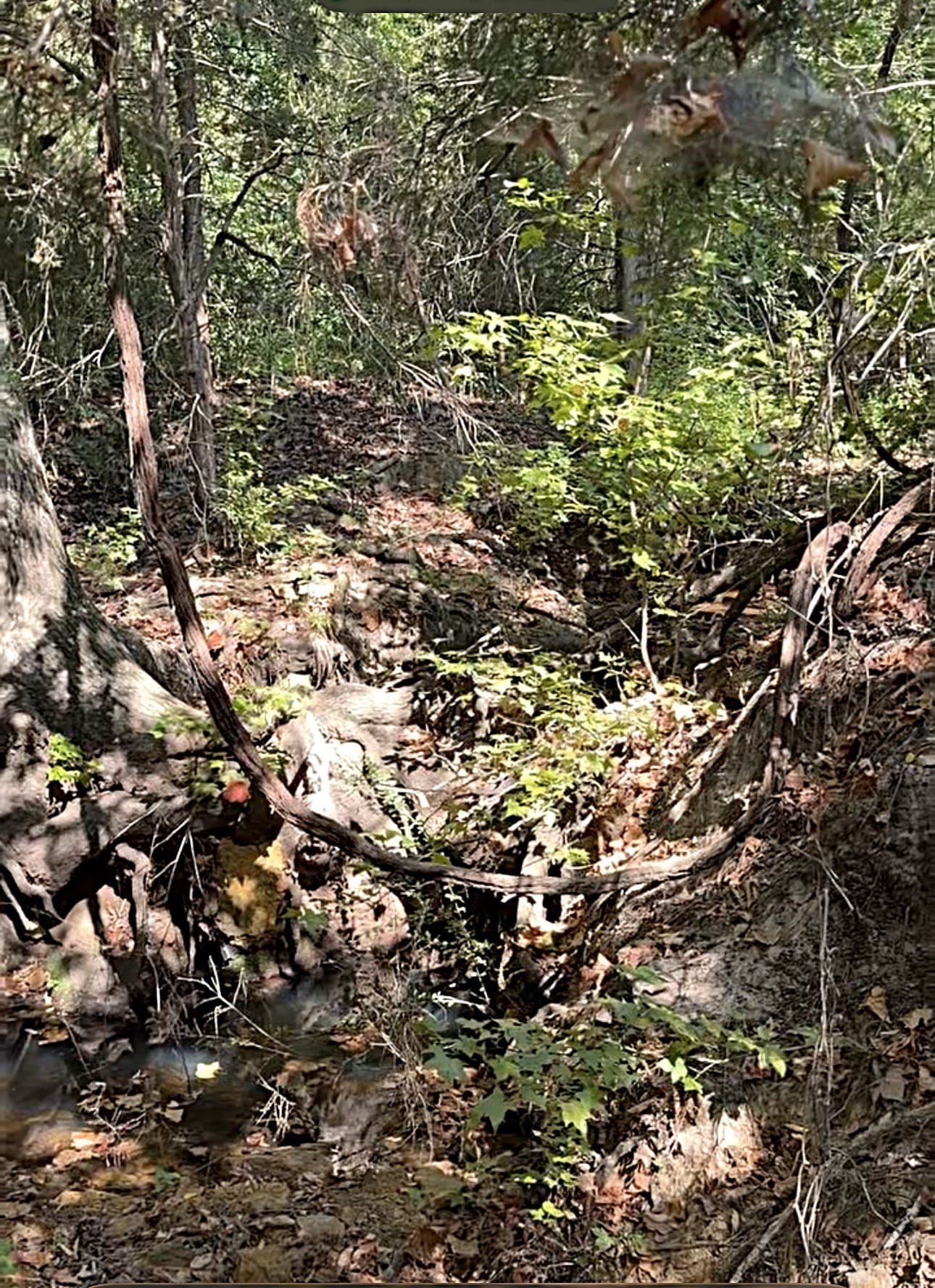 28.5 acres in Anderson County - photo 24