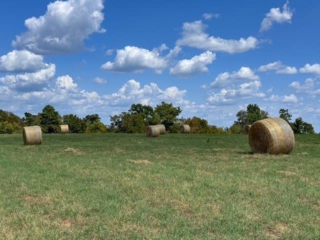 28.5 acres in Anderson County - photo 15